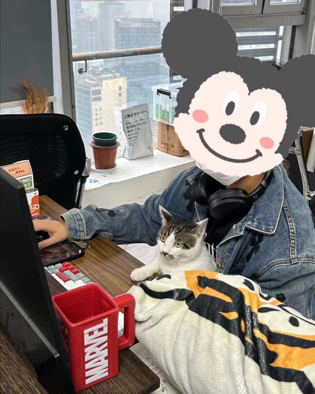 IMG_7447-1725537479785