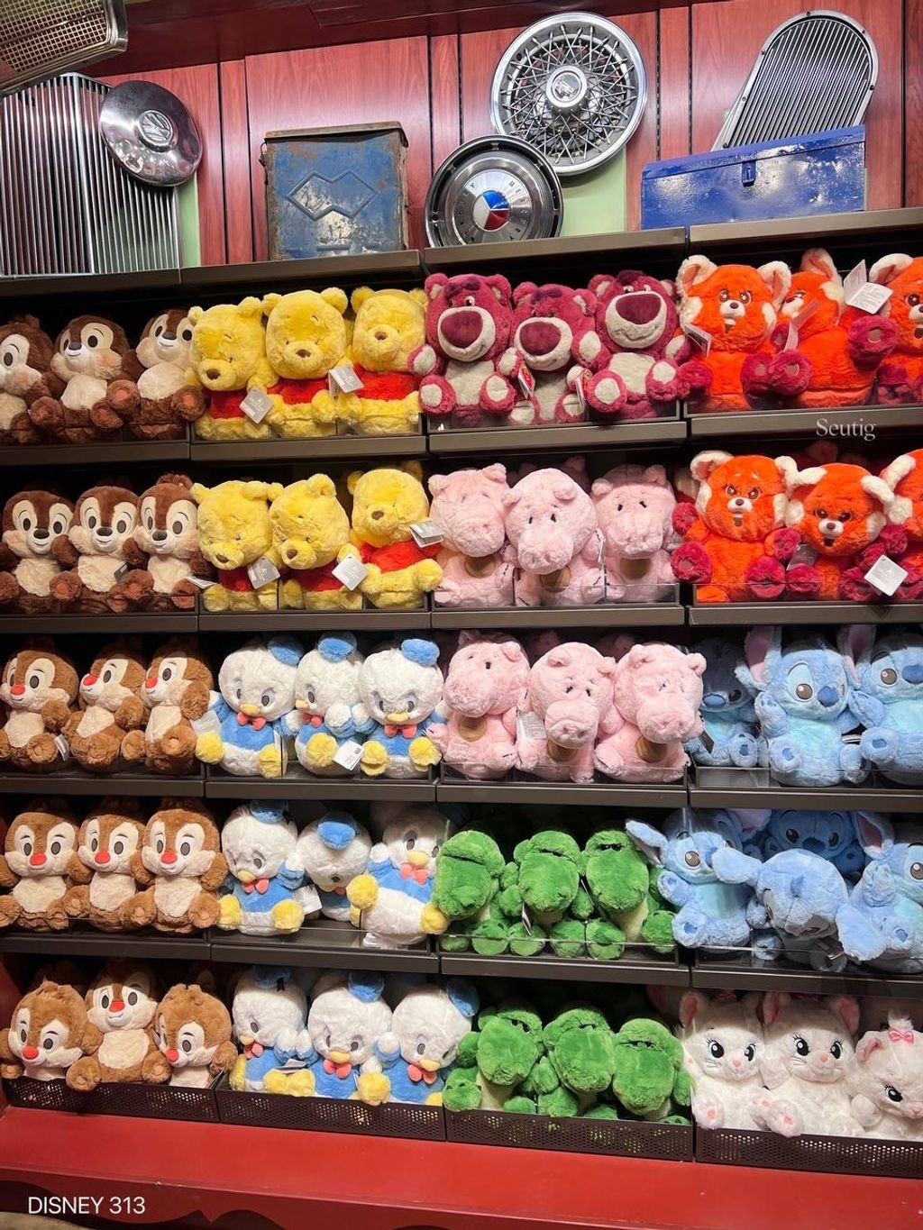 IMG_7455-1725537609591