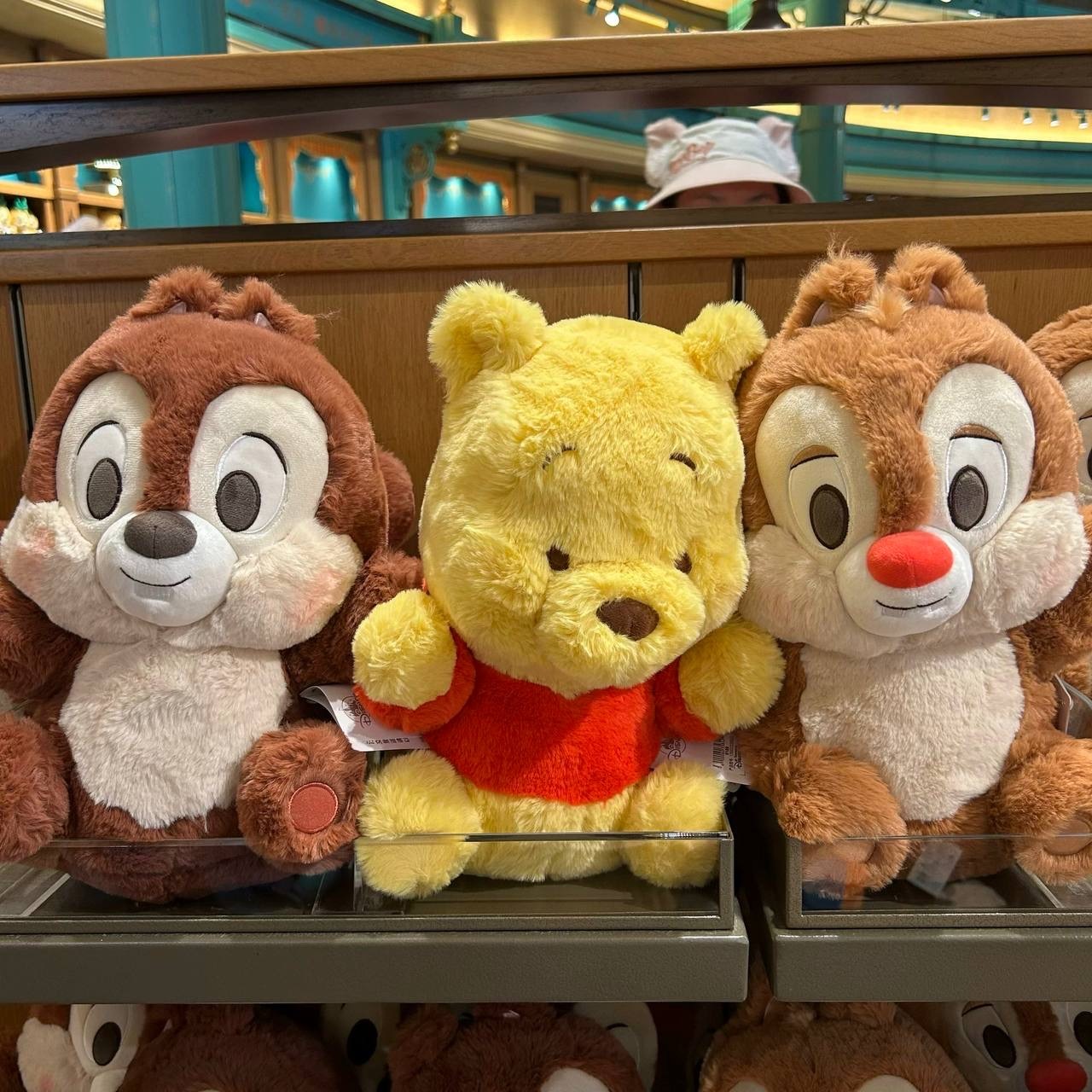 IMG_7460-1725537609632