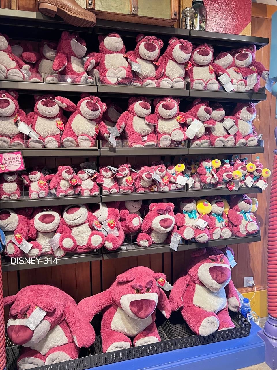 IMG_7465-1725545764001