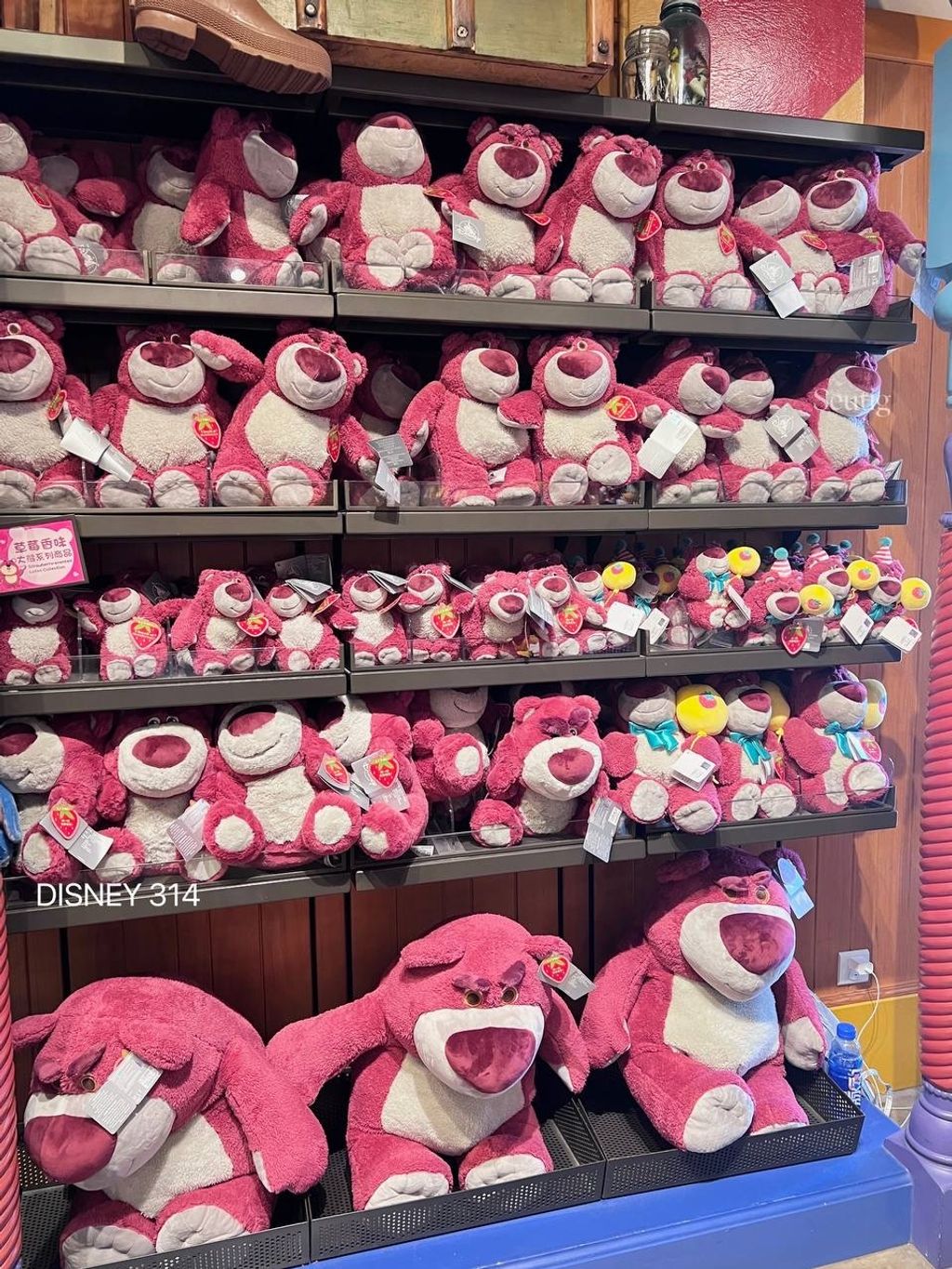 IMG_7465-1725545764001