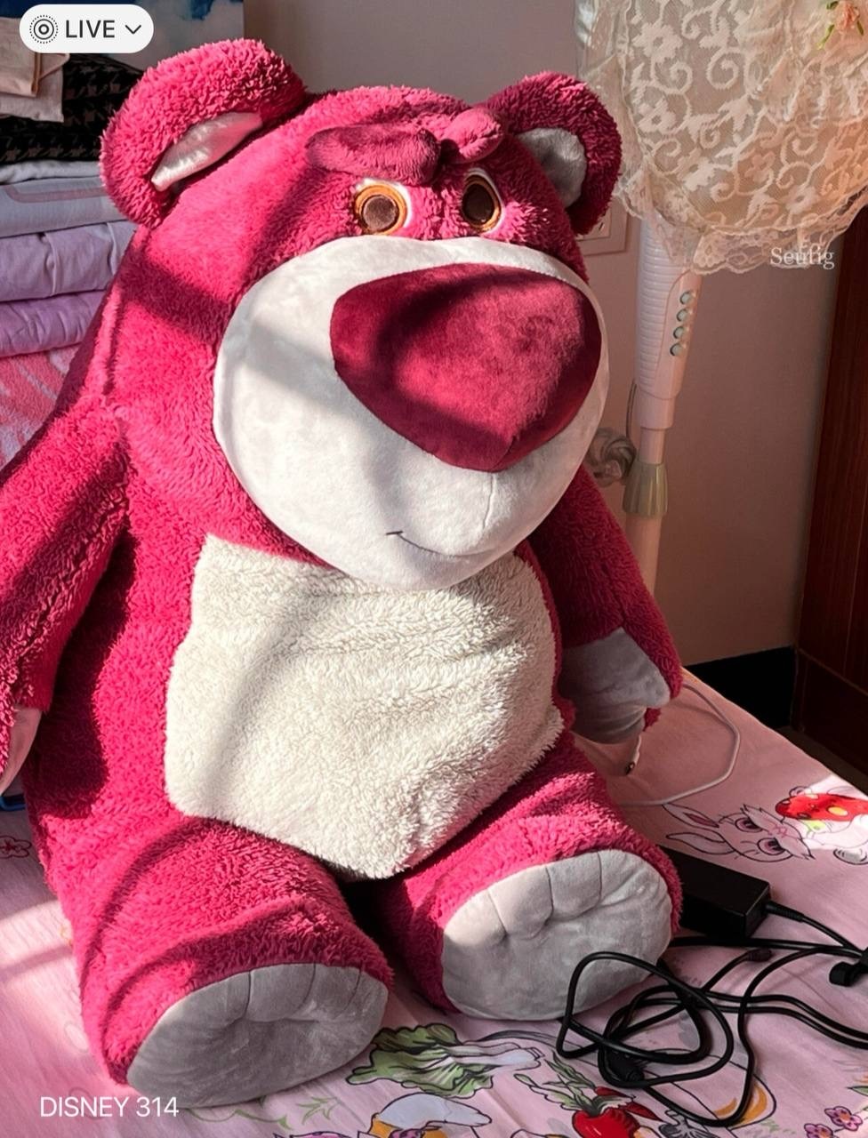 IMG_7472-1725545764048