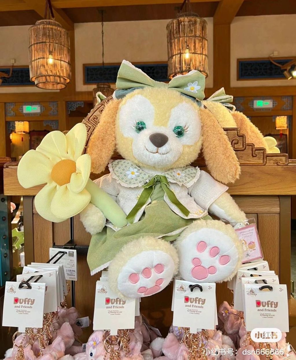 IMG_7488-1725545993797