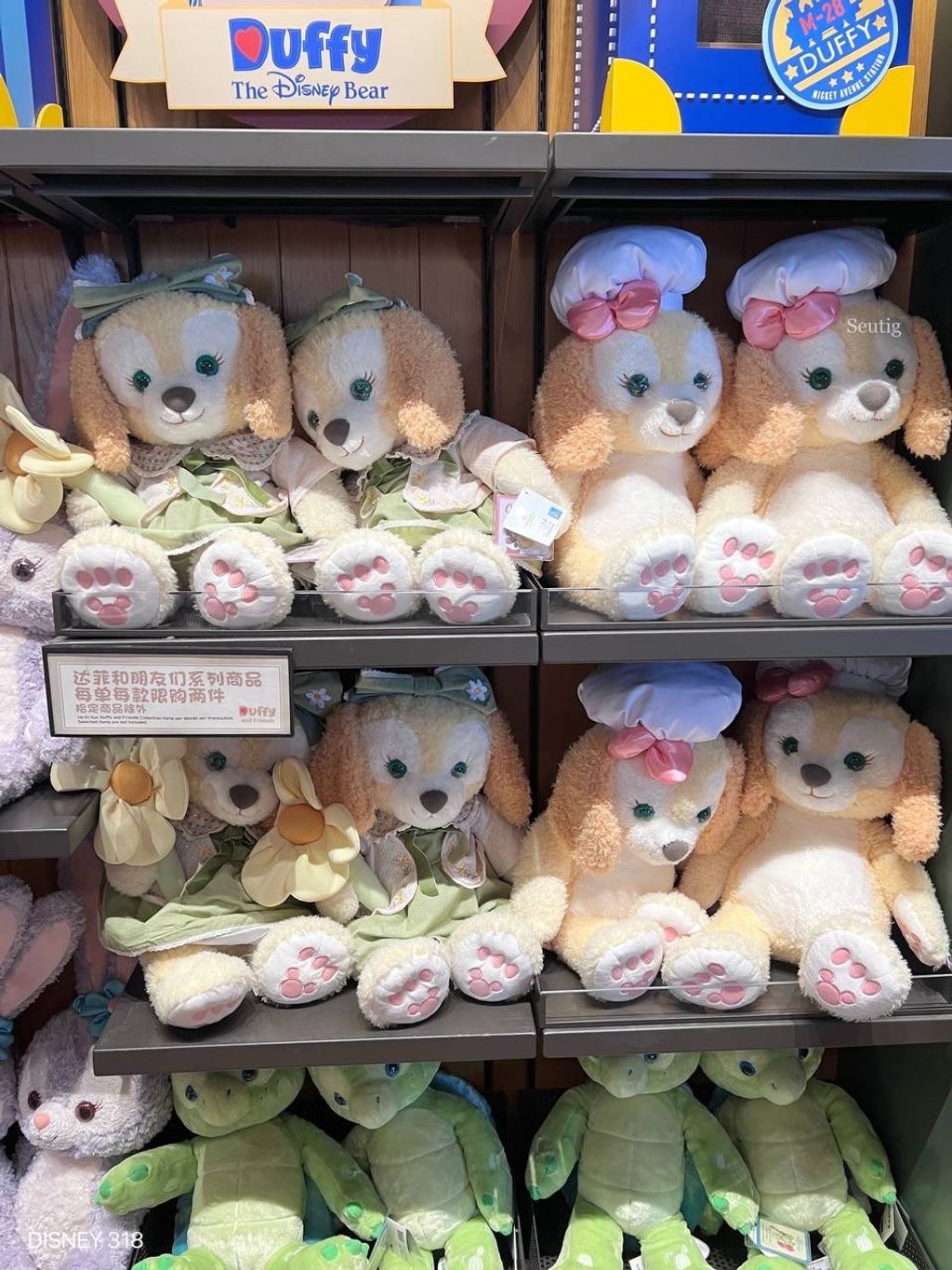 IMG_7485-1725545993819