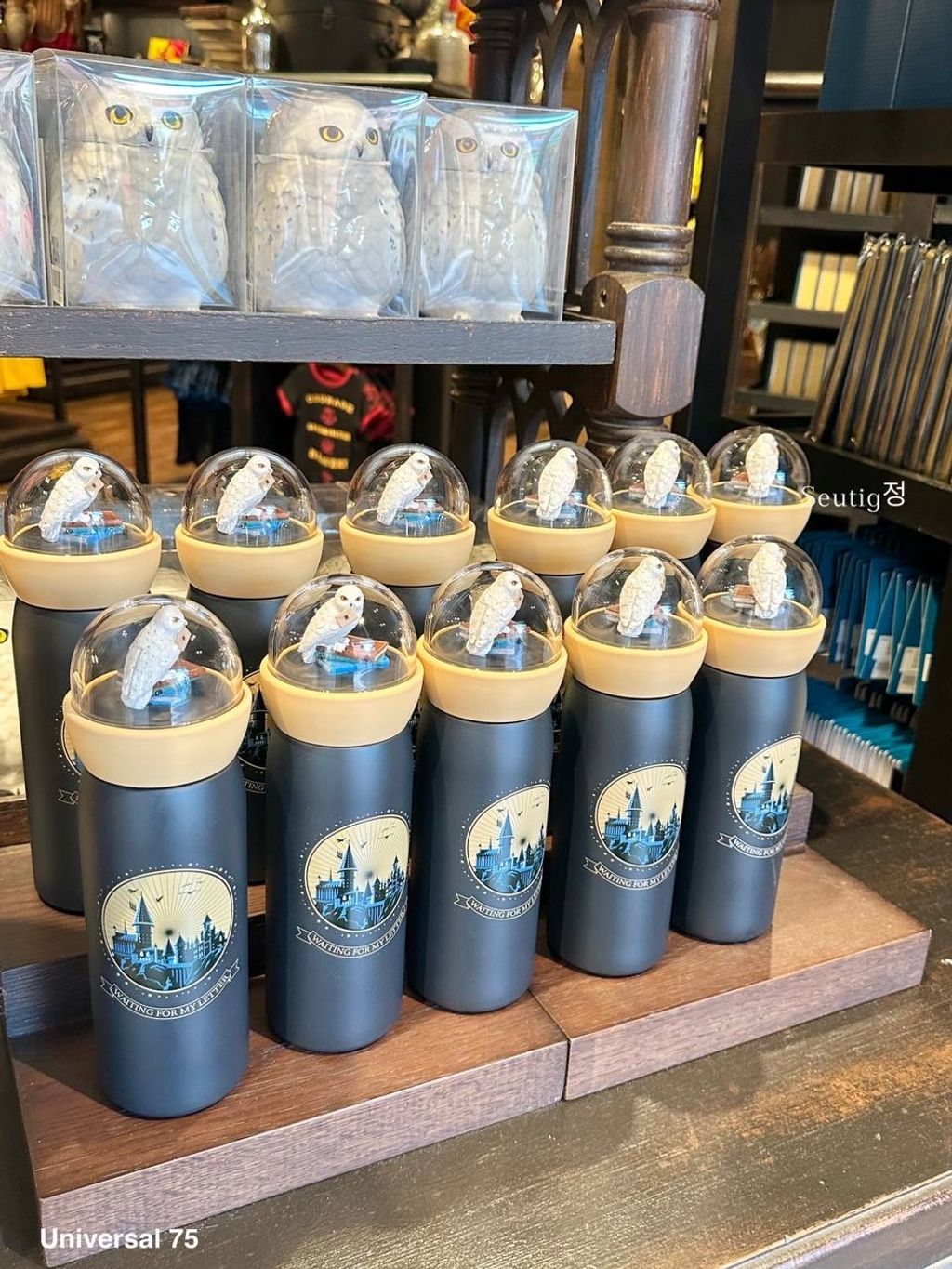 IMG_7896-1725797014674