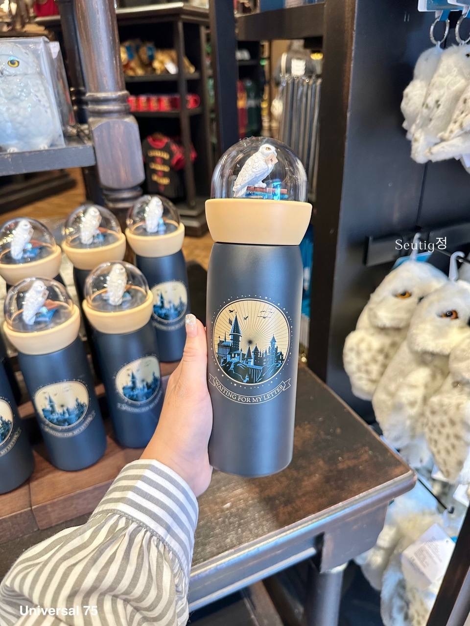 IMG_7897-1725797014680