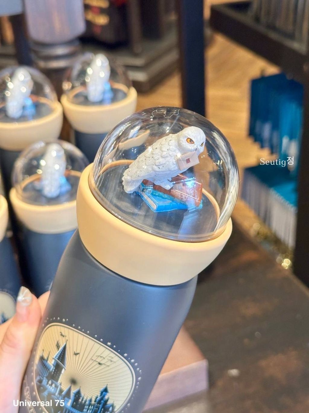 IMG_7899-1725797014697