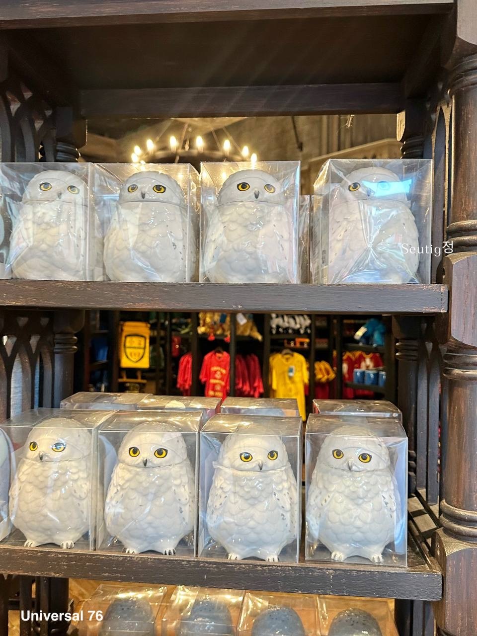 IMG_7901-1725797062535