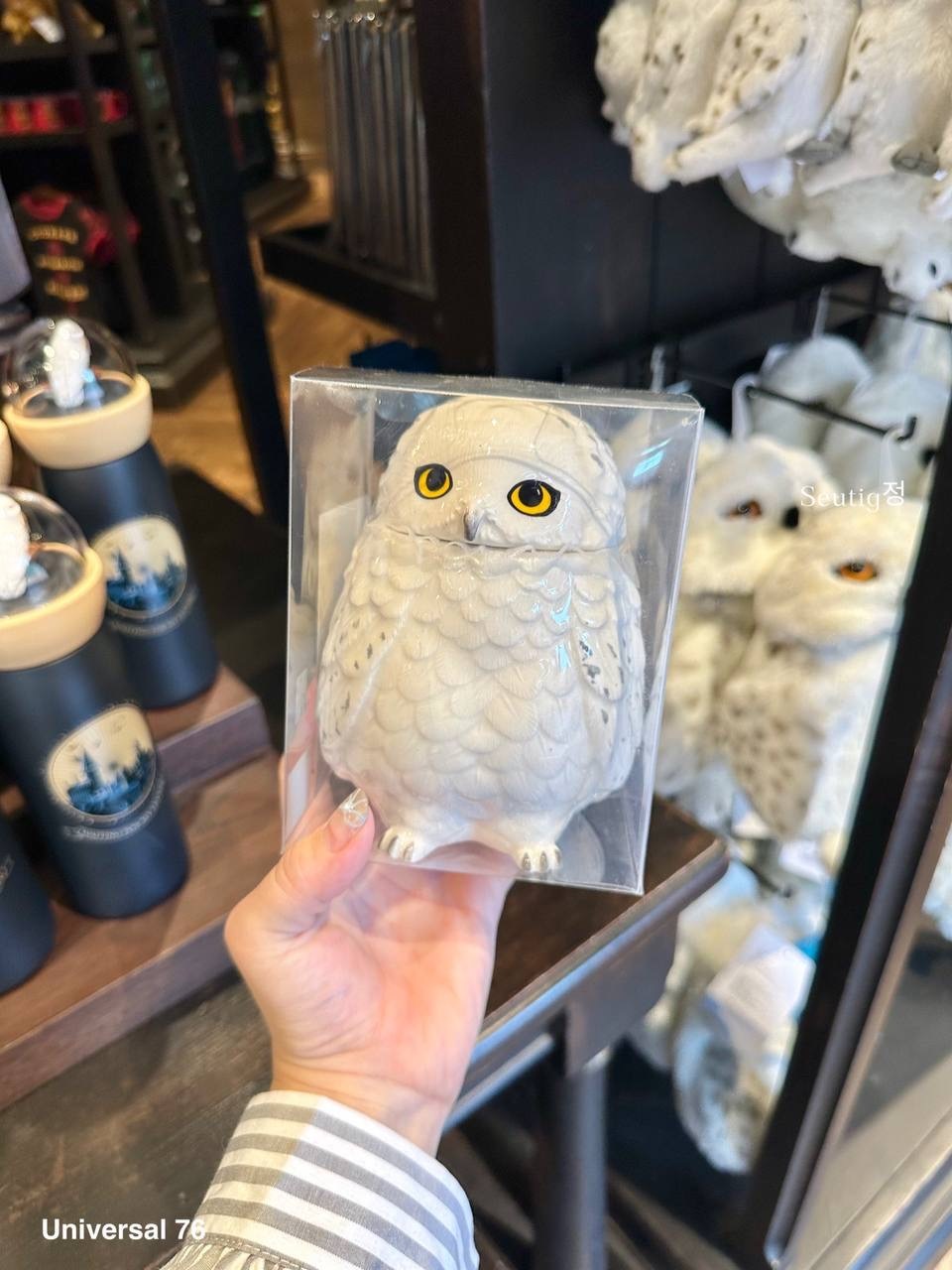 IMG_7902-1725797062542