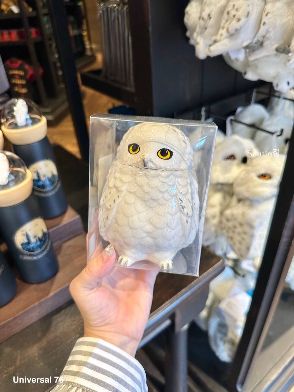 IMG_7902-1725797062542