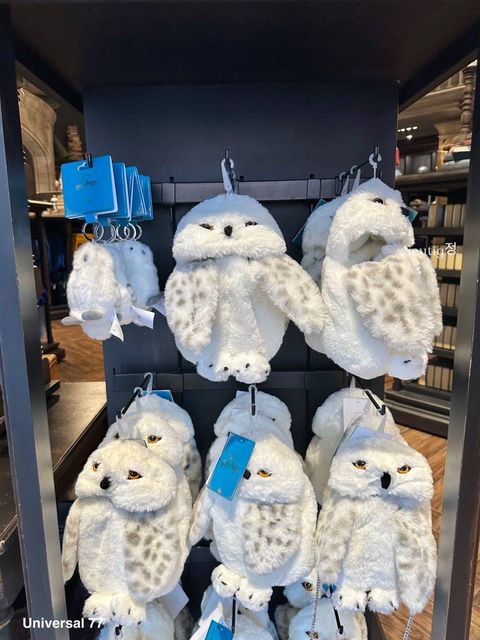 IMG_7904-1725797099773