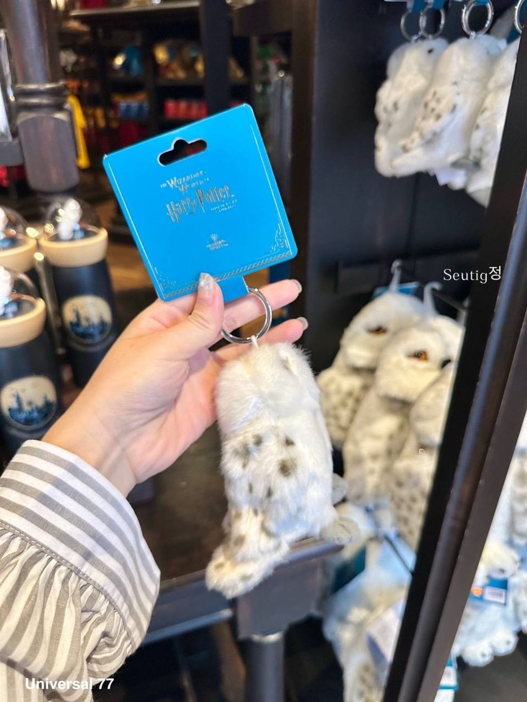 IMG_7905-1725797099779