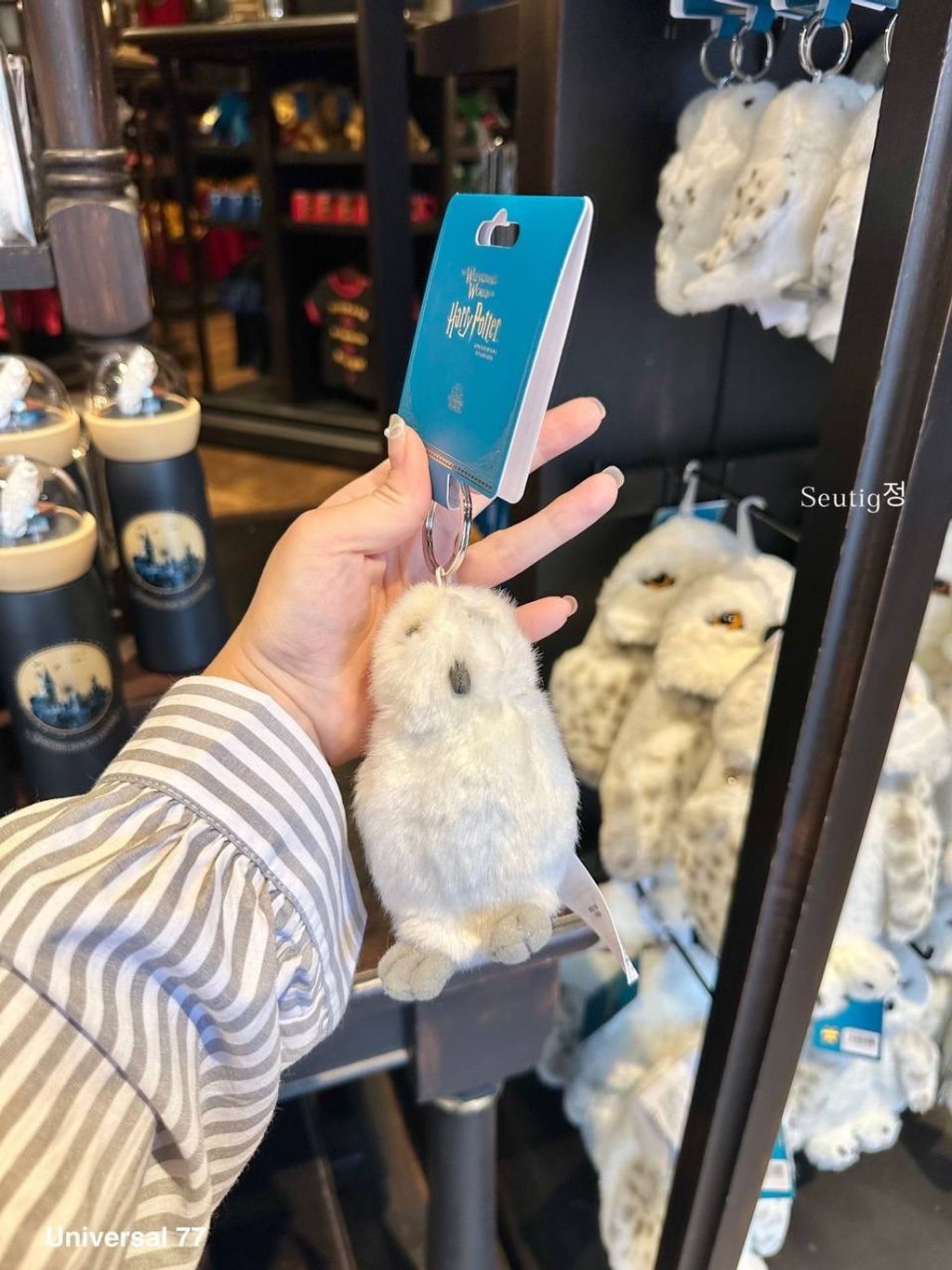 IMG_7906-1725797099786