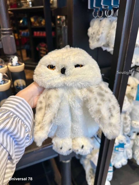 IMG_7907-1725797133849