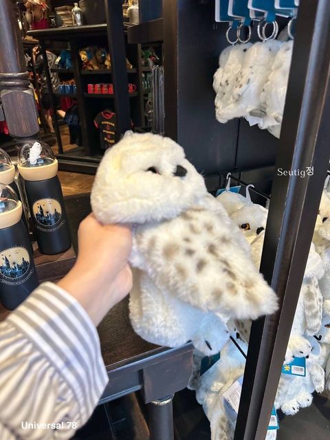 IMG_7908-1725797133855