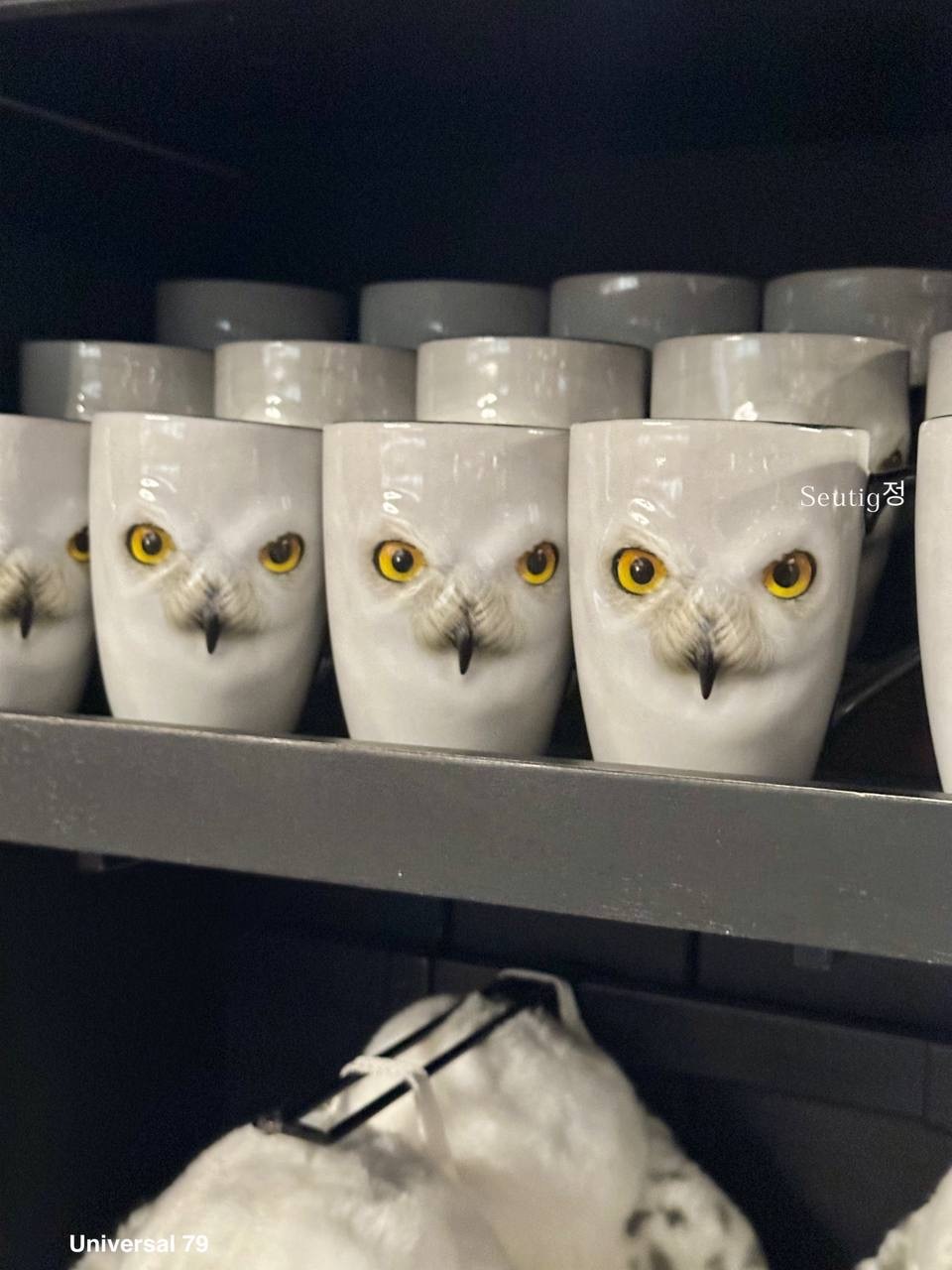 IMG_7911-1725797172375