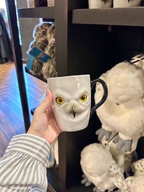 IMG_7912-1725797172382