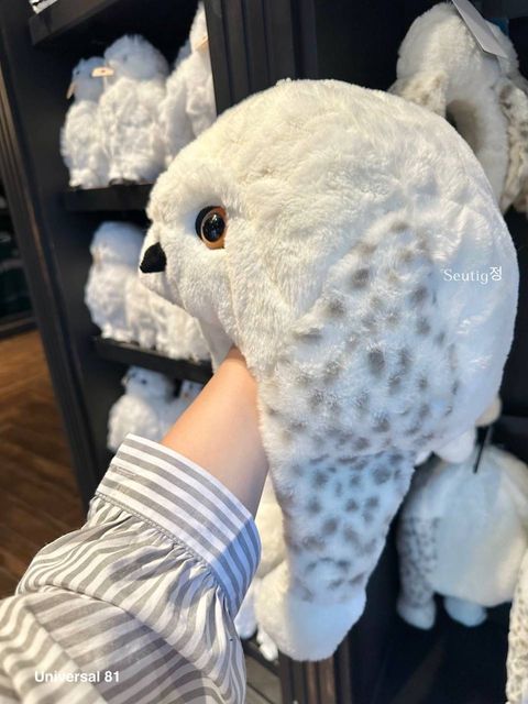 IMG_7918-1725797241992