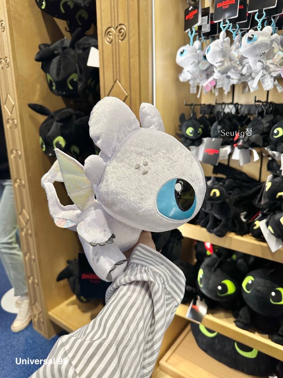 IMG_7971-1725806579737