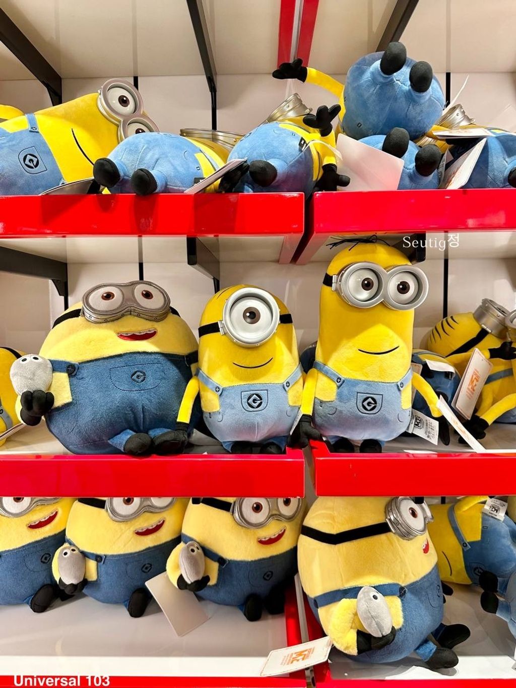 IMG_7984-1725878842927