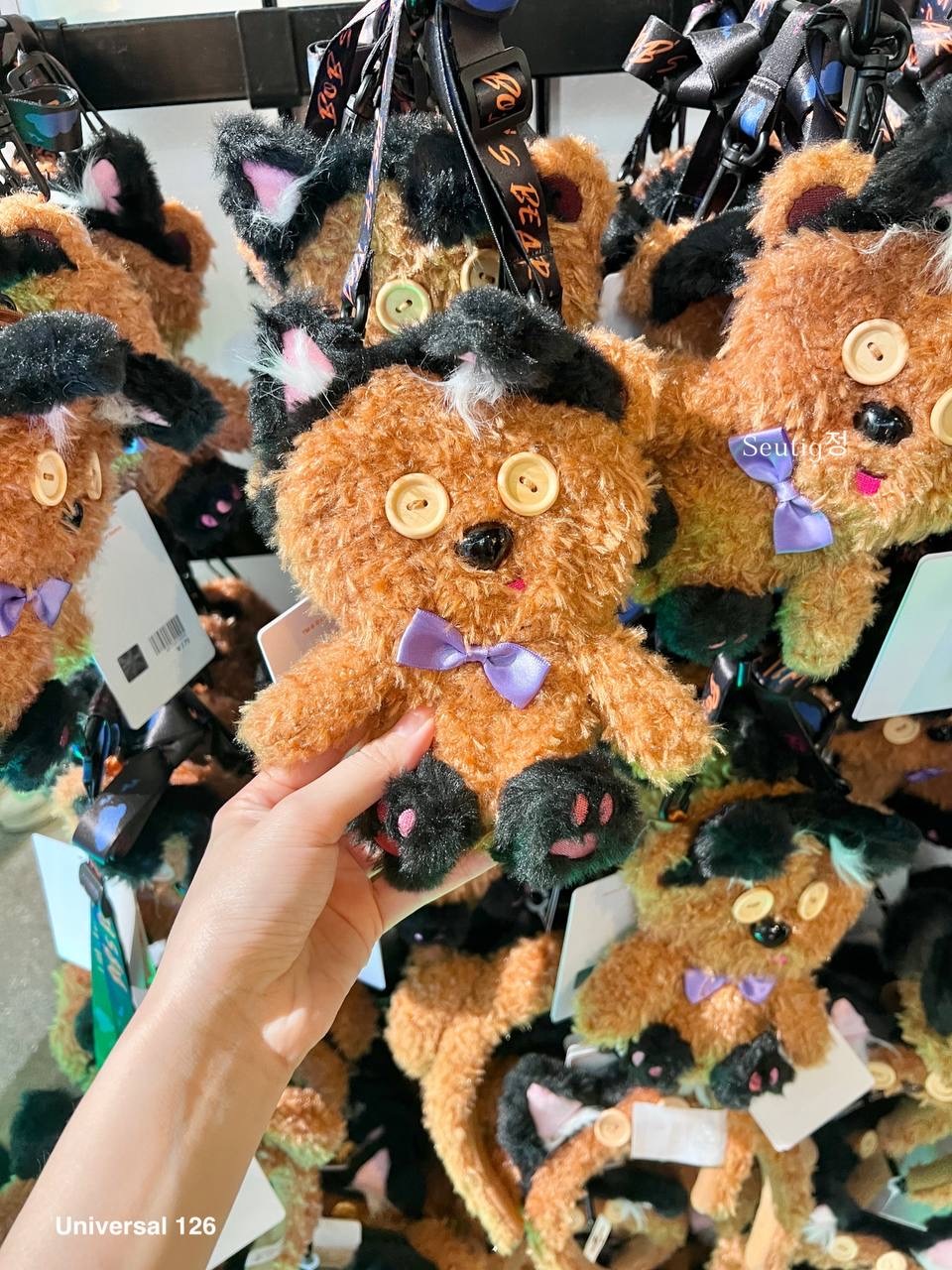 IMG_8093-1725880383520