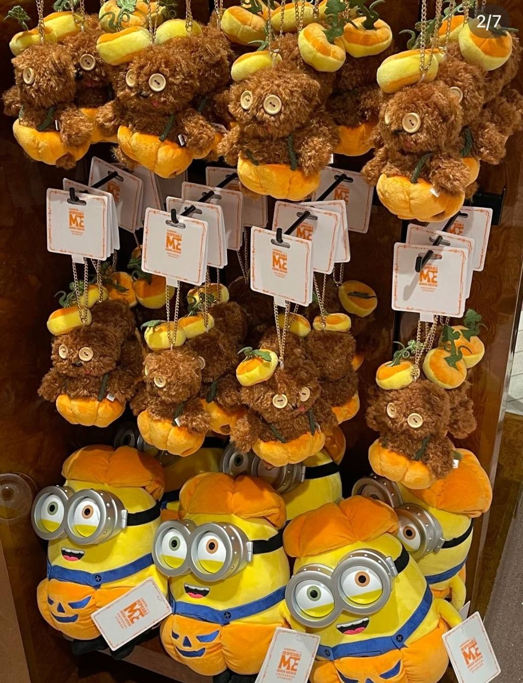 IMG_8100-1725880515622