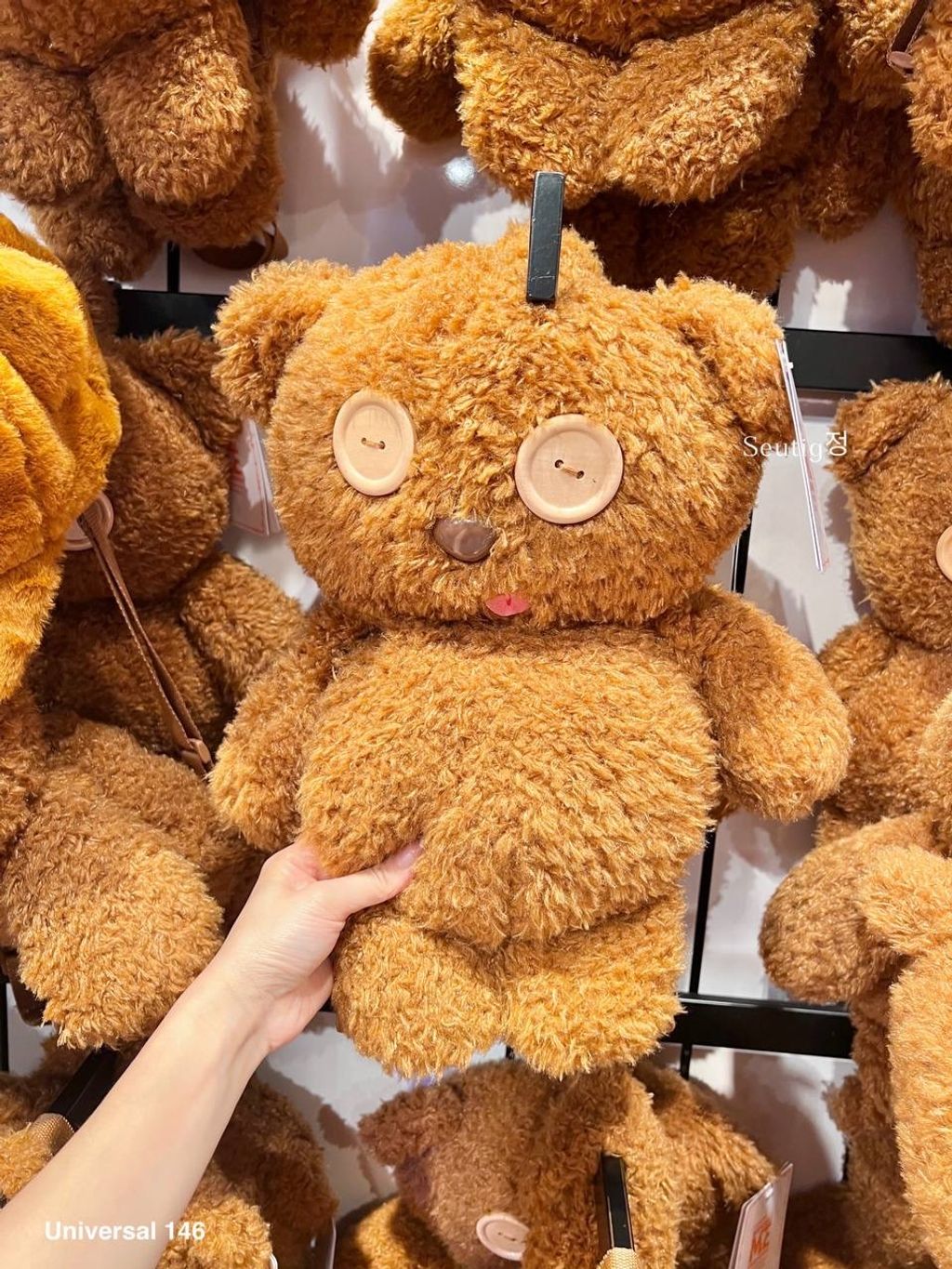 IMG_8204-1725881899359