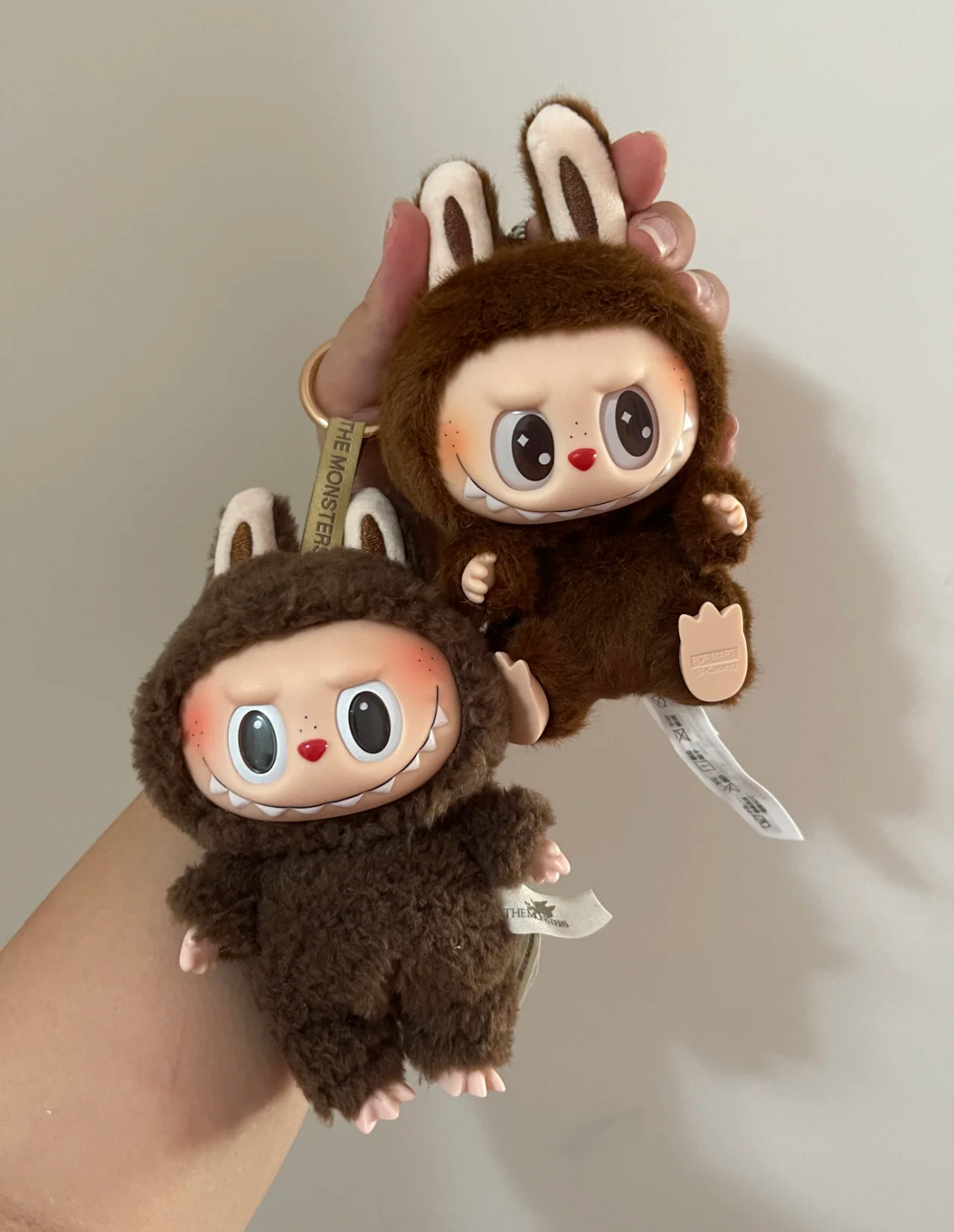 IMG_1073-1727501475018