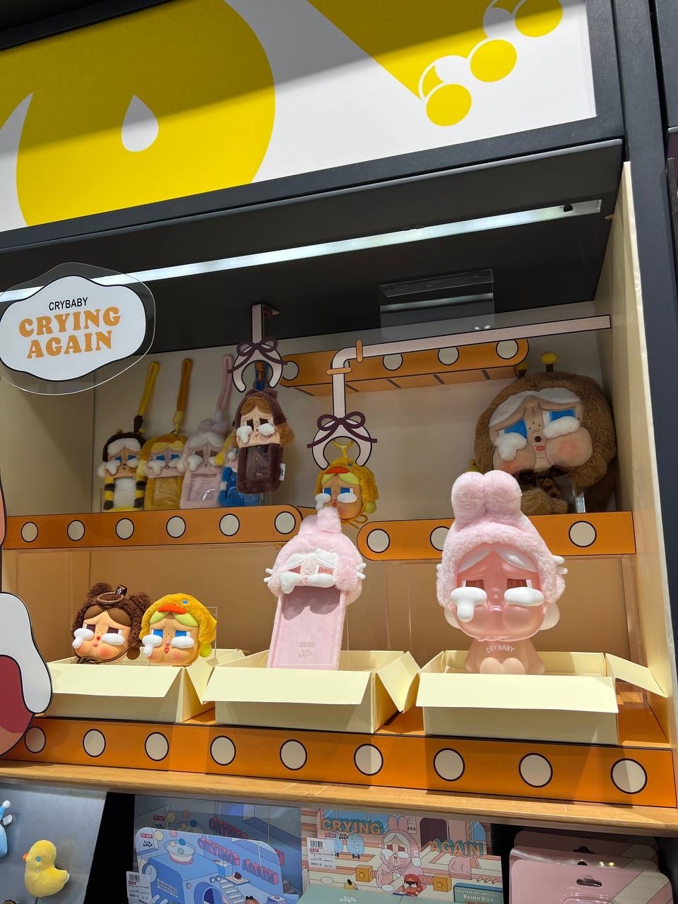 IMG_8796-1728567500760