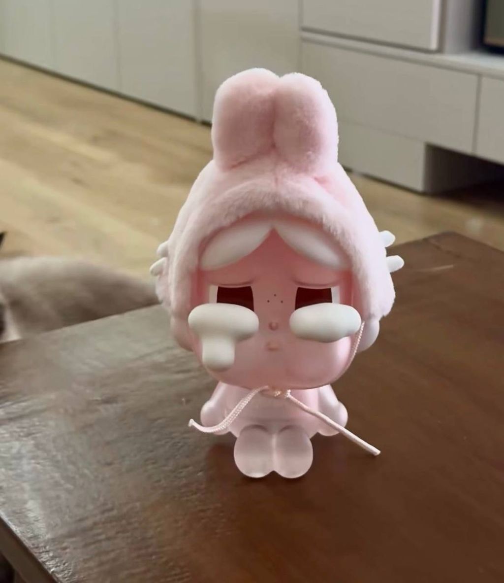 IMG_8813-1728645098212