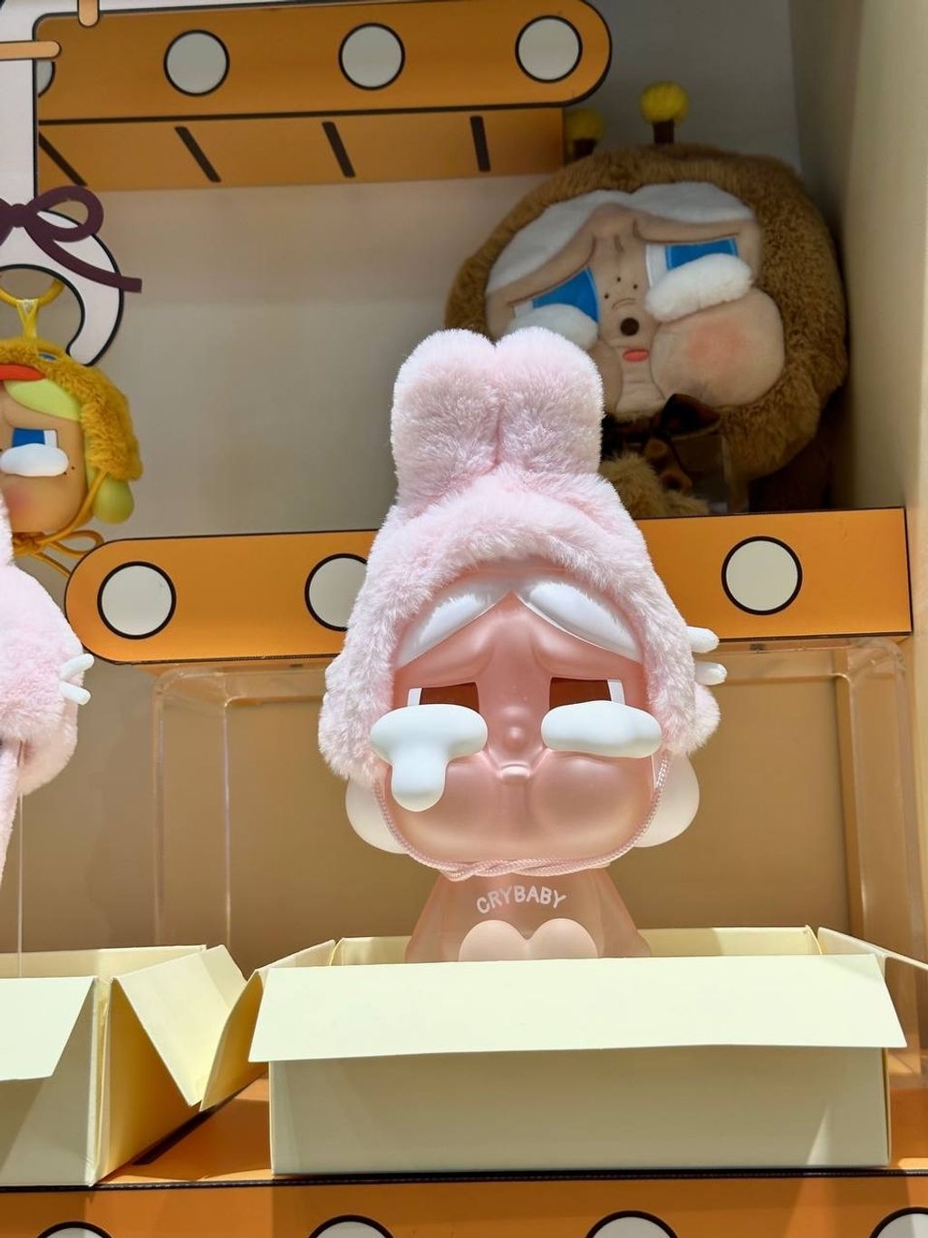 IMG_8814-1728645098218