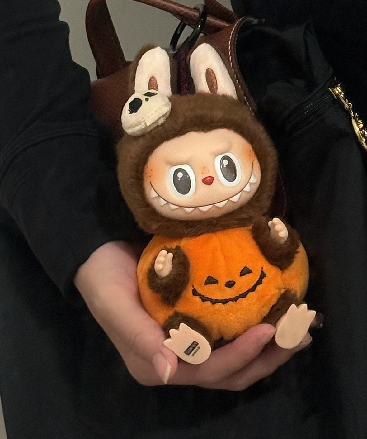 IMG_3189-1729599657228