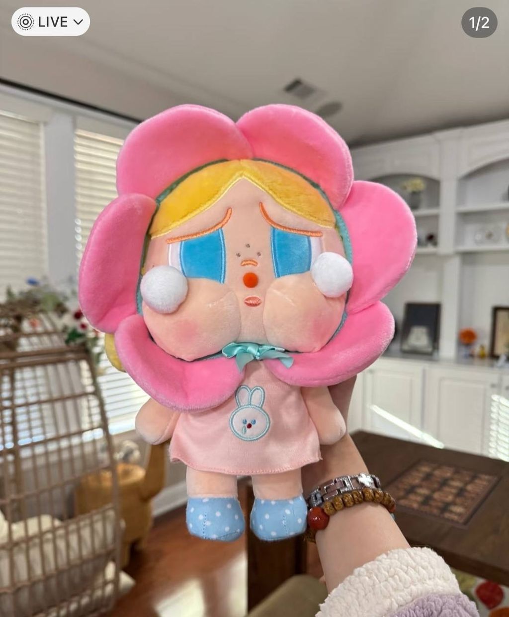 IMG_7255-1731156553827