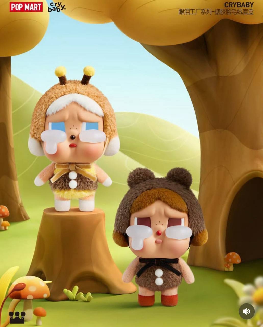 IMG_4560-1731212801049