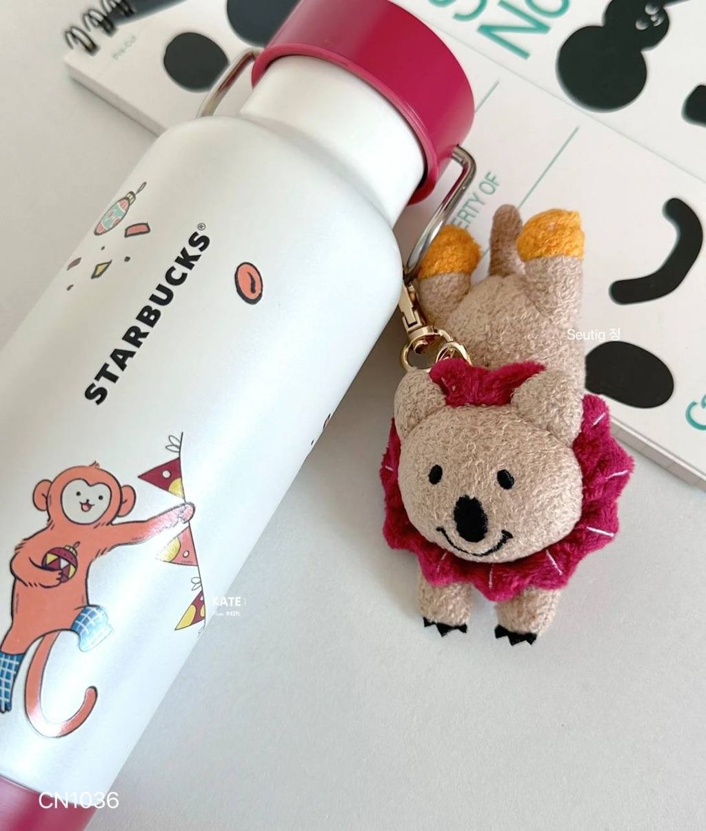 IMG_7348-1731250219572