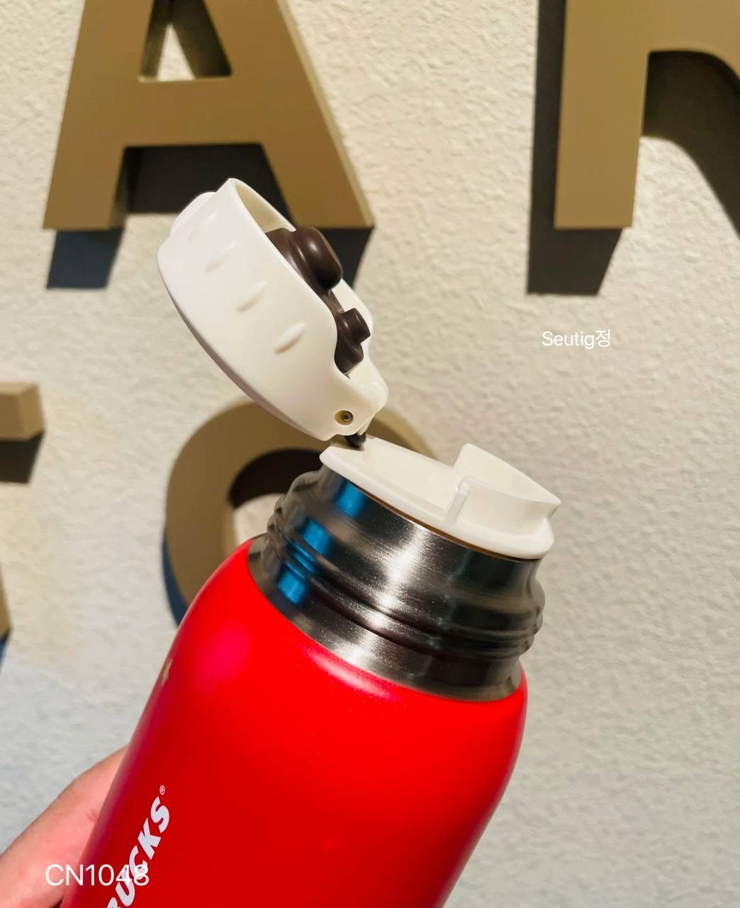 IMG_7502-1731251095617