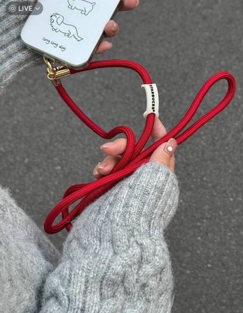 IMG_7507-1731251146921