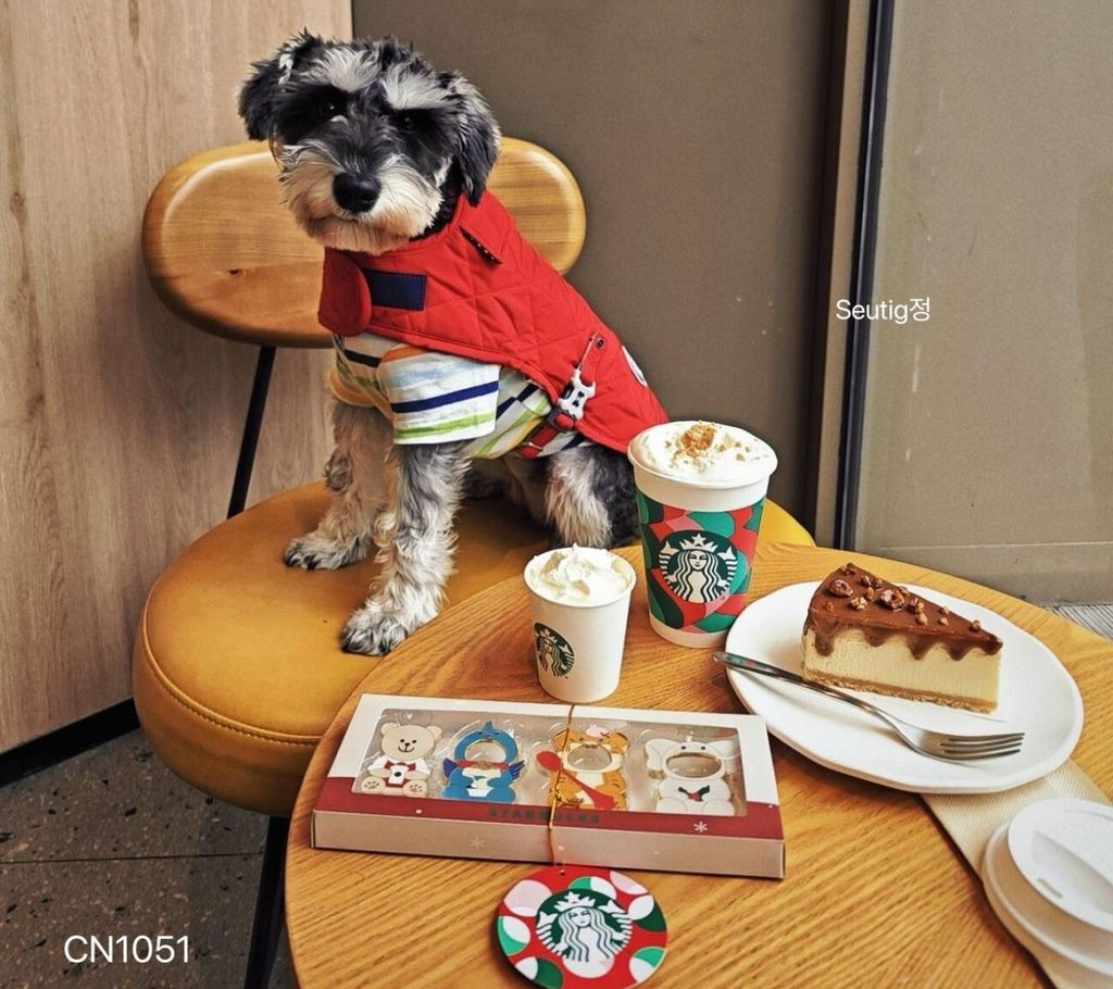 IMG_7518-1731251245441