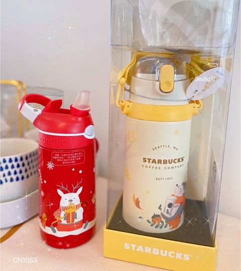 IMG_7528-1731251332465