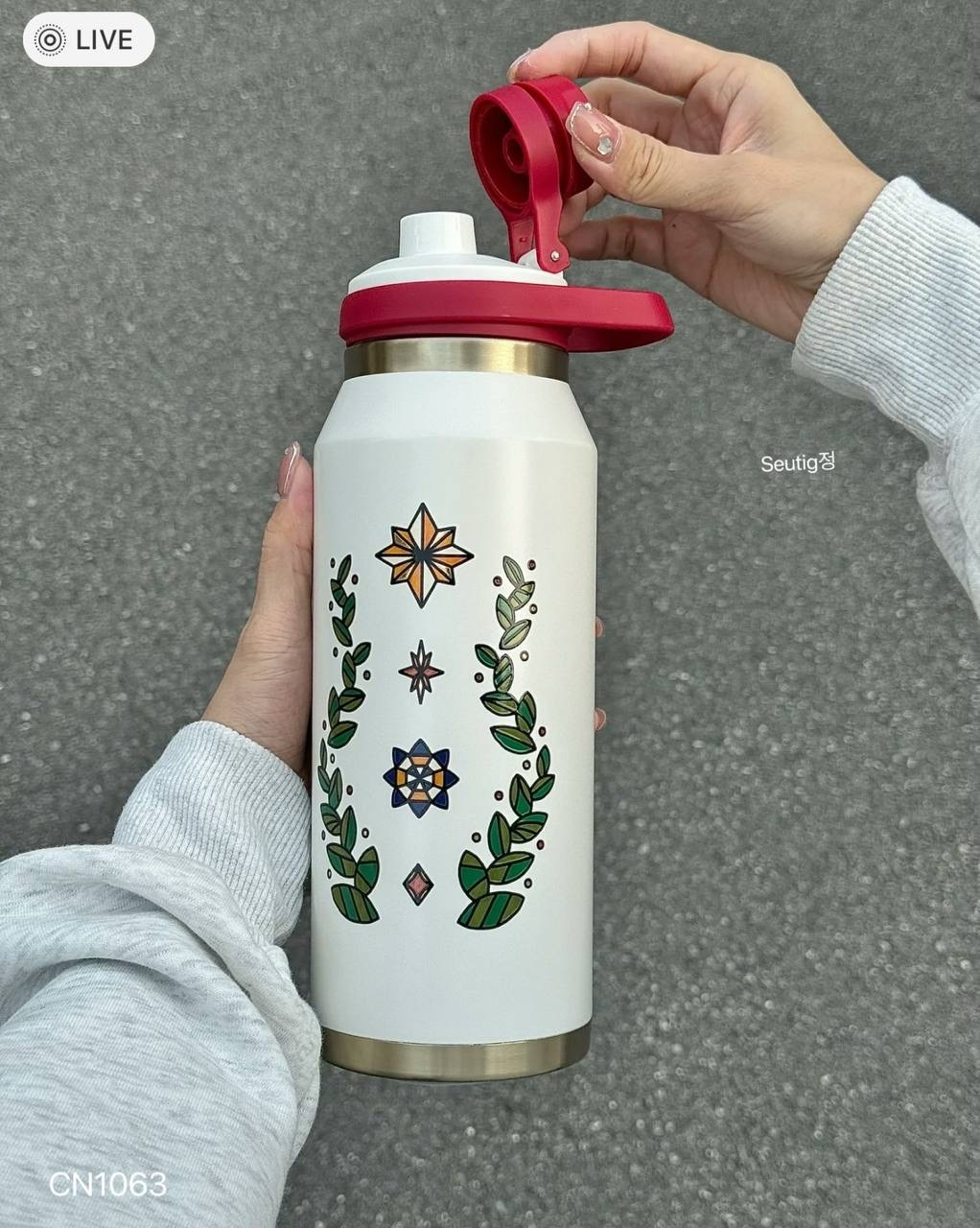 IMG_7734-1731251820226