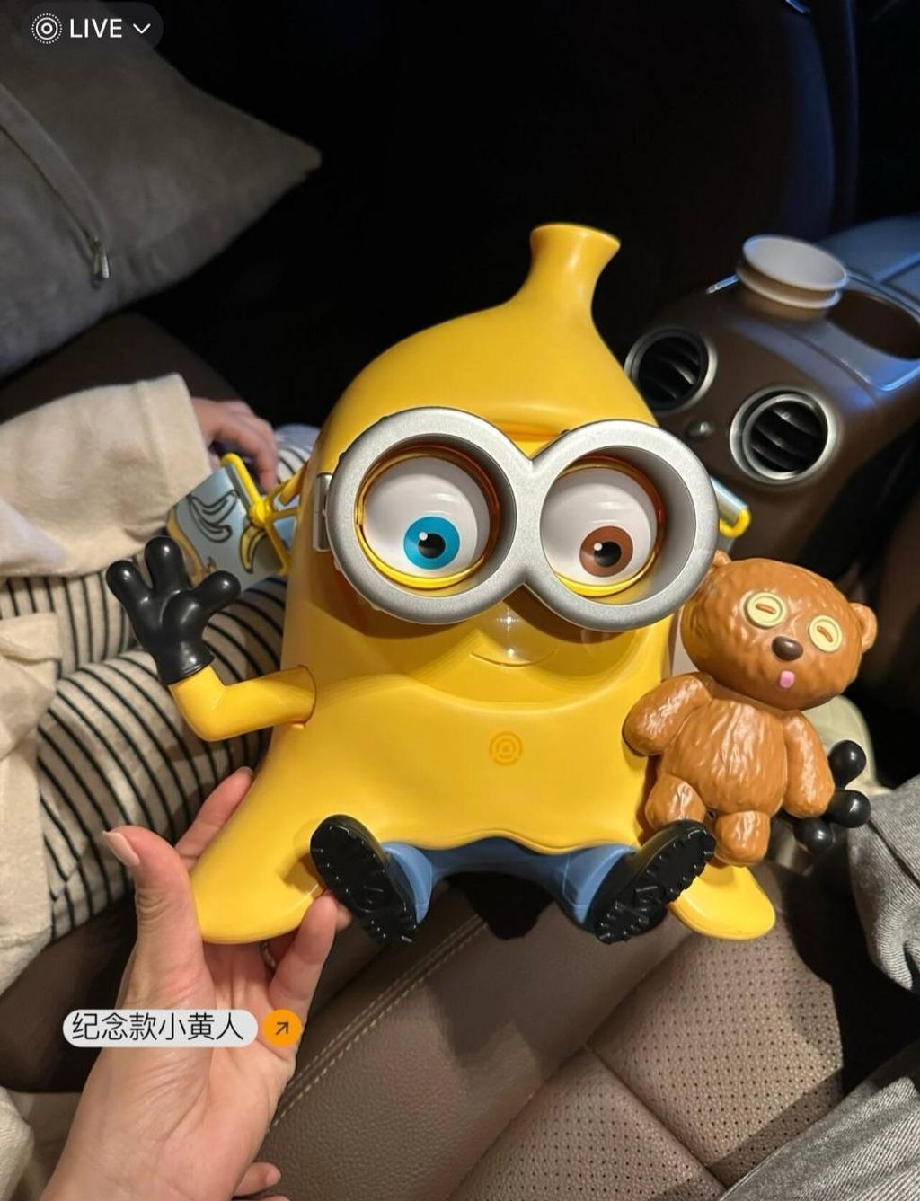 IMG_9236-1732187248359