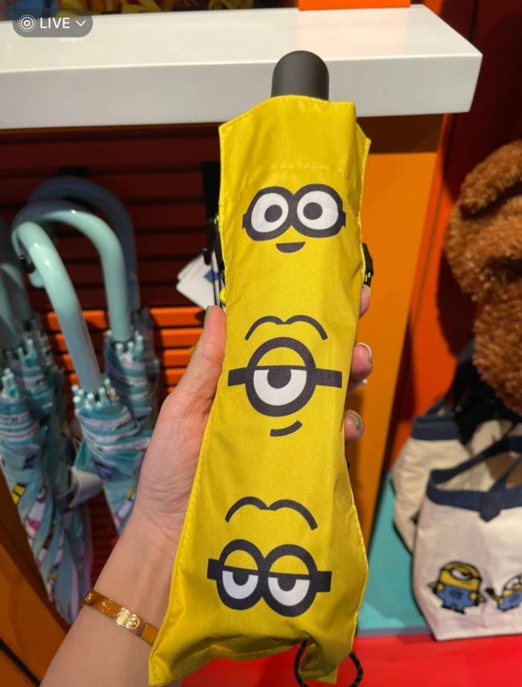 IMG_9324-1732187430243