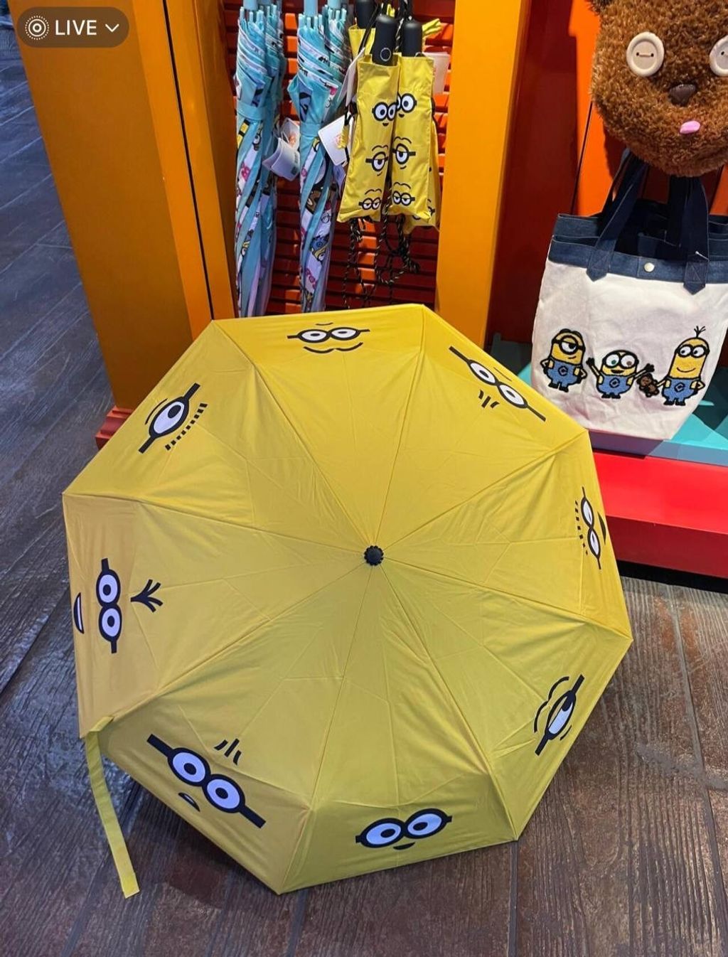 IMG_9325-1732187430247