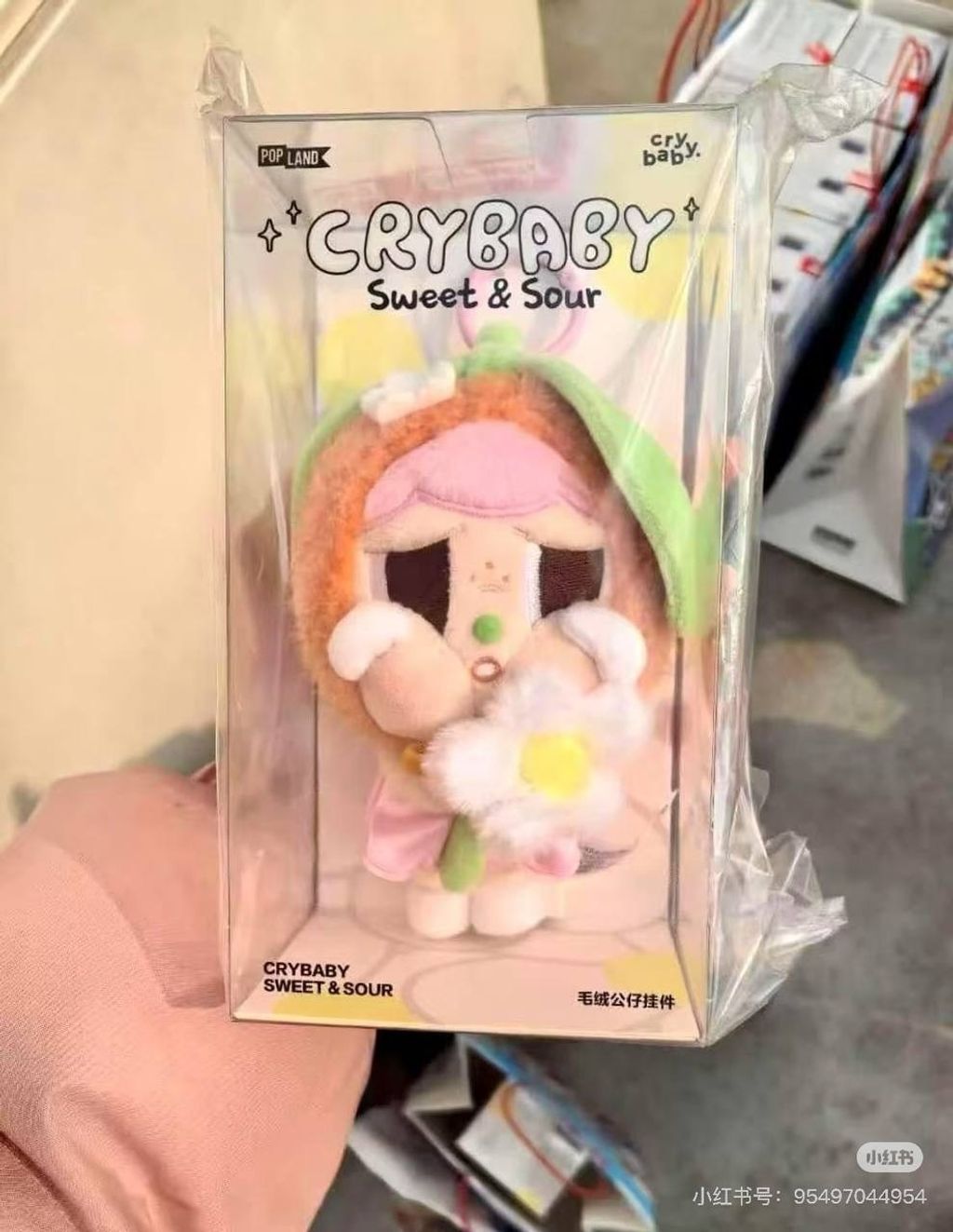 IMG_9356-1732187755990