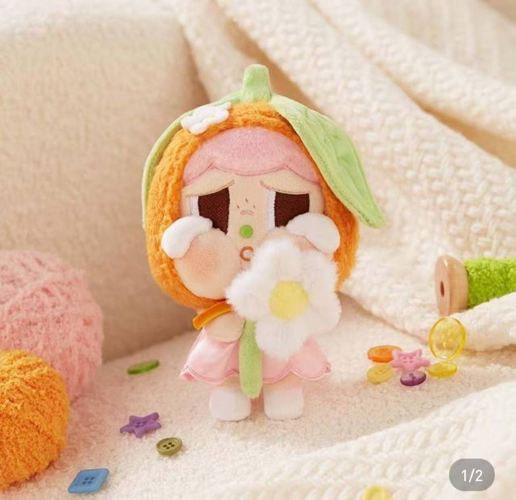 IMG_9357-1732187756008