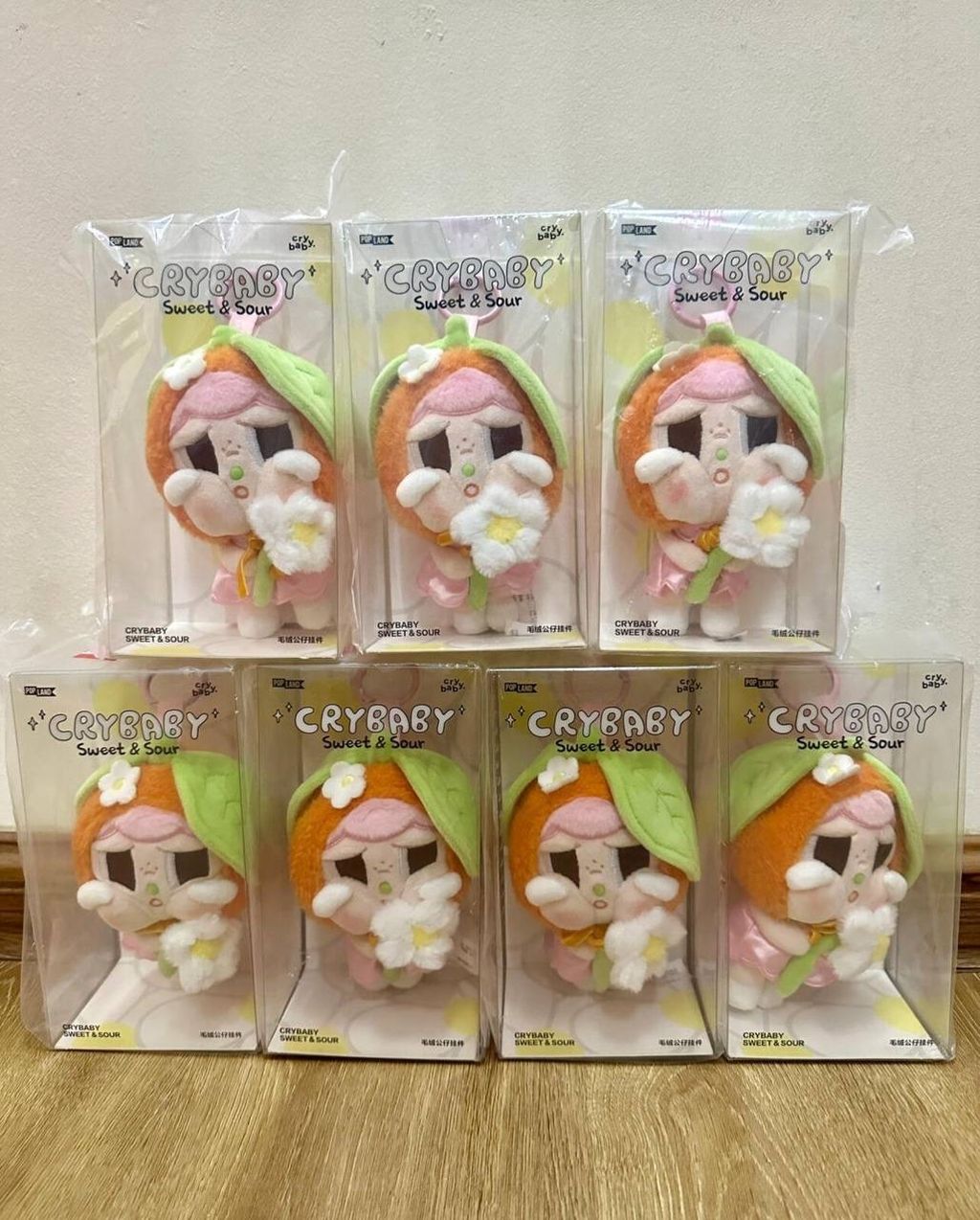 IMG_9358-1732187756002