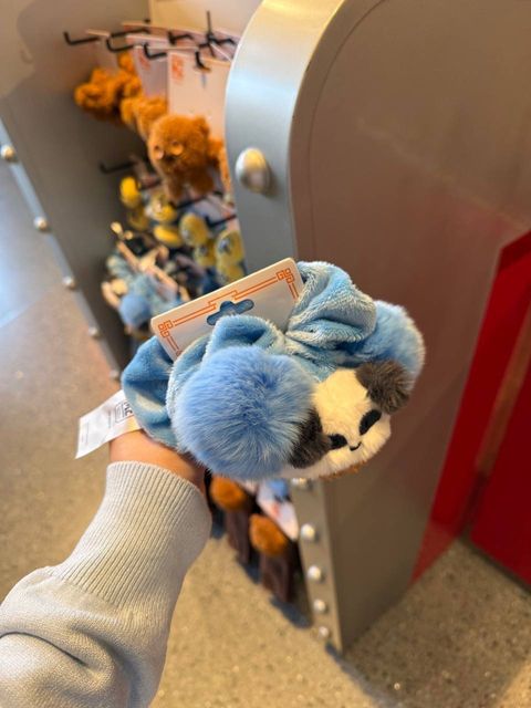 IMG_2003-1732360306749