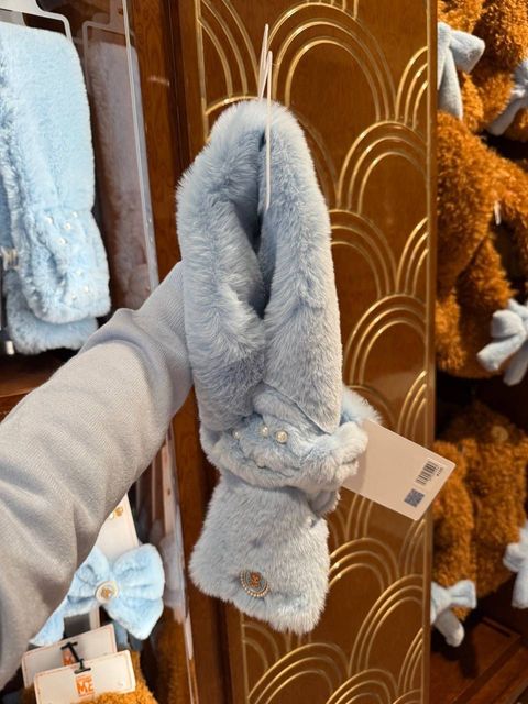 IMG_2013-1732361246030