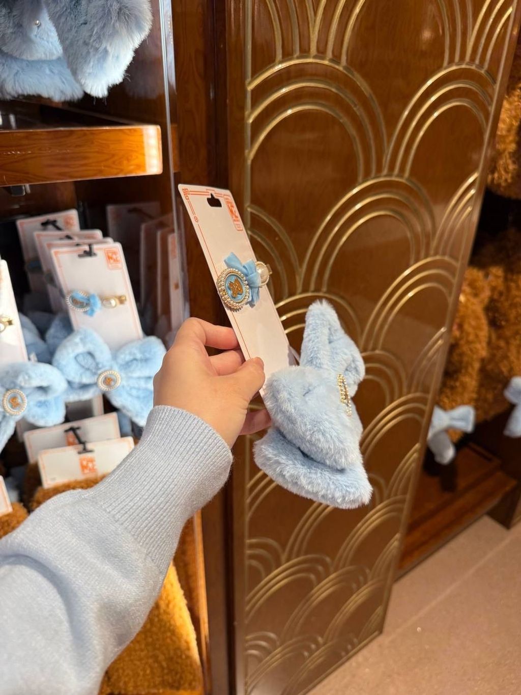 IMG_2018-1732361283659