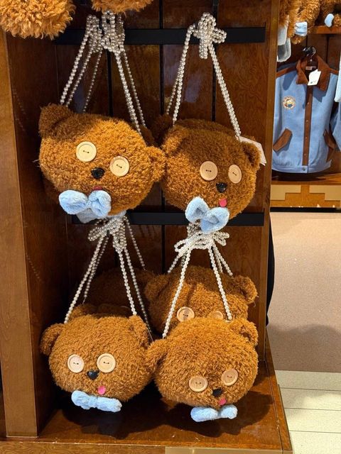 IMG_2040-1732362198305